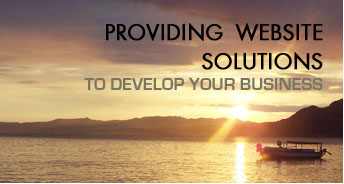 Providing Website Solutions to Develop your Business